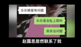 网友爆料流浪狗视频,街头流浪狗生存现状引关注